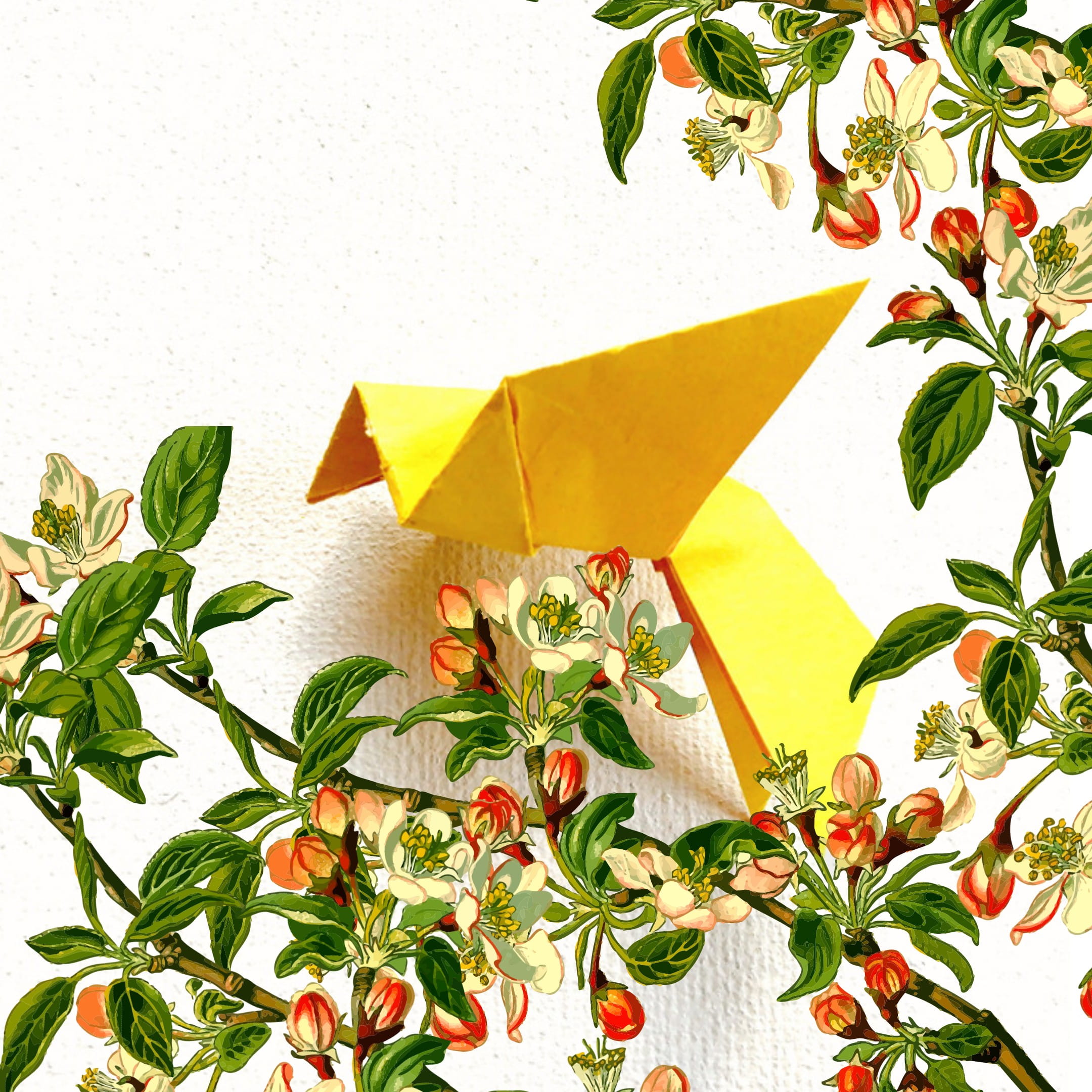 Схема оригами из бумаги Райская птичка