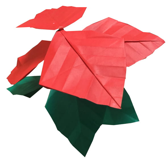 Оригами из бумаги цветок Пуансетия