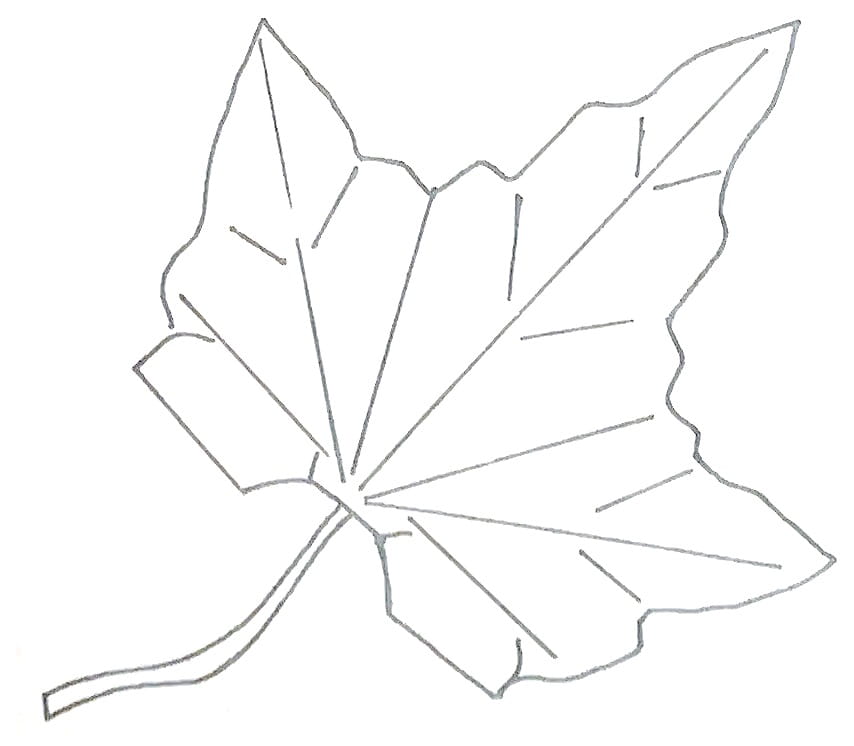 Схема оригами из бумаги Клен